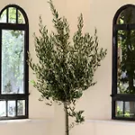 Hotel Veneziano Lefkada
