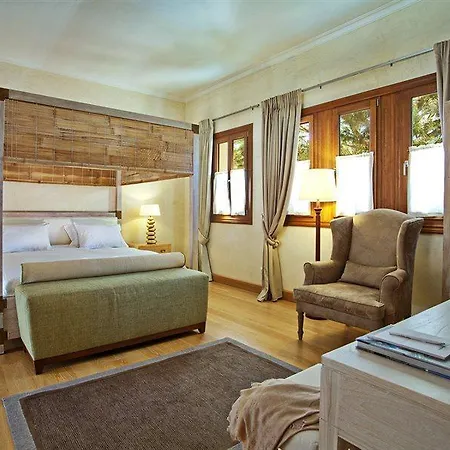 Veneziano Lefkada 4* 니드리