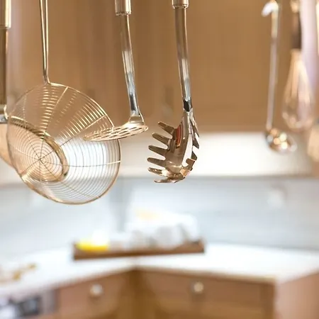 호텔 Veneziano Lefkada 니드리